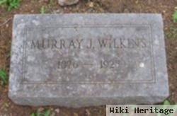 Murray J. Wilkins