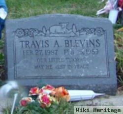 Travis A. Blevins