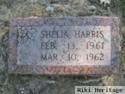 Shelia Harris