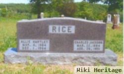 Allie Hartley Rice