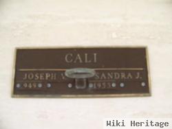 Joseph V Cali