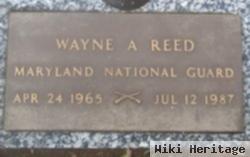 Wayne A Reed