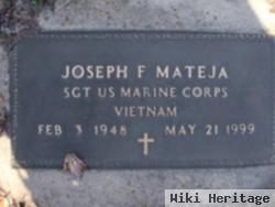 Joseph F. Mateja