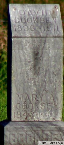 Mary Abigail Heaton Cooksey