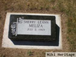 Sherry Leann Meliza