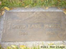 David Lane Morey