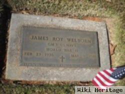 James Roy Welborn