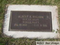 Albert Kerma Haleem