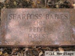 Forrest Shelton Searfoss