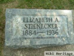 Elizabeth A. Stienecker