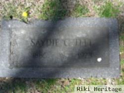 Sarah Christina "saydie" Clay Teel