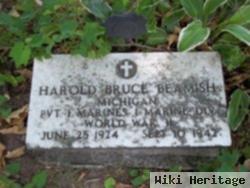 Pvt Harold Bruce Beamish