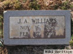 James Arnton Williams