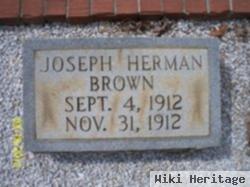 Joseph Herman Brown