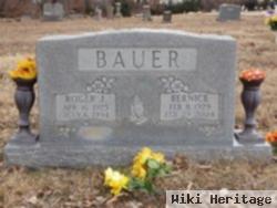 Roger Bauer