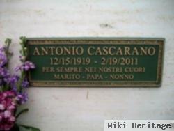 Antonio Cascarano