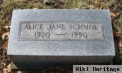 Alice Jane Lusk Schmoe