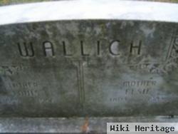 Louis Wallich