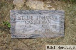 Nellie Johanna Dambacher Castleman