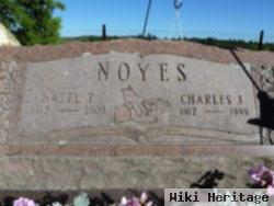 Charles Johnson Noyes