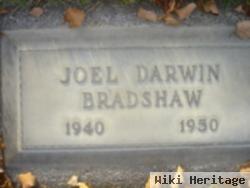 Joel Darwin Bradshaw