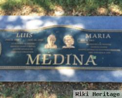 Luis Medina