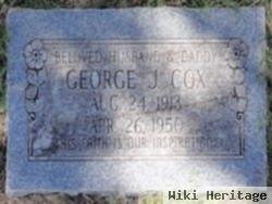 George J Cox