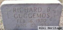 Richard B Guggemos