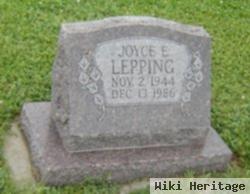 Joyce E. Schwendener Lepping