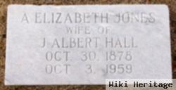 Amanda Elizabeth "lizzie" Jones Hall