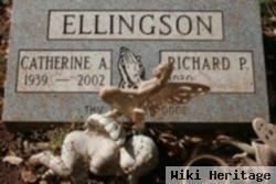 Catherine A Ellingson