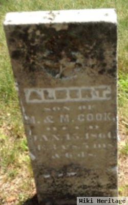 Albert Cook