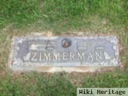 Robert Lawrence Zimmerman