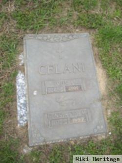 Constance M Celani