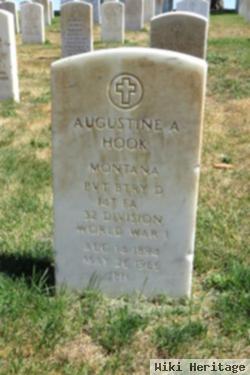 Augustine Hook