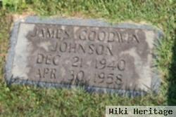 James Goodwin Johnson