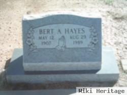 Bert A Hayes