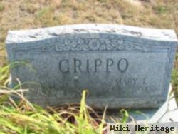 Allen P Grippo