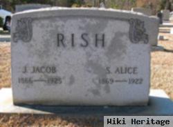 Susan Alice Amick Rish