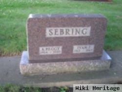 Ivan J Sebring