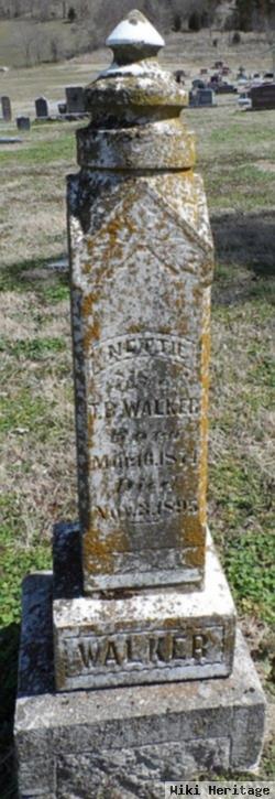 Nettie C. Noel Walker