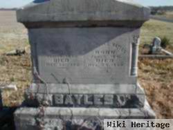 Mary Elizabeth Hendricks Bayles