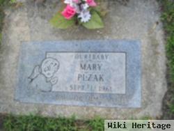 Mary Plzak