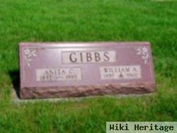 Anita C Gibbs