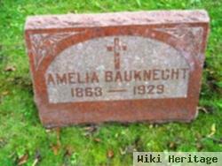 Amelia Bauknecht