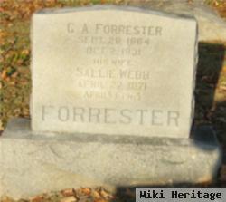 Sarah "sallie" Webb Forrester