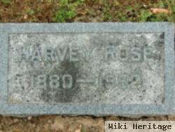 Harvey Rose