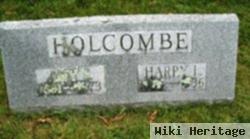 Amy E Holcombe