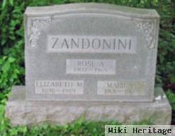 Elizabeth M Zandonini