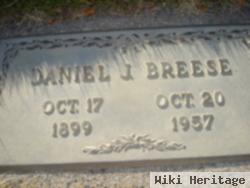 Daniel J Breese